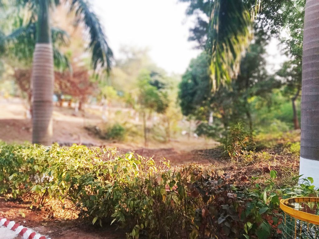 jagriti jagriti park katni