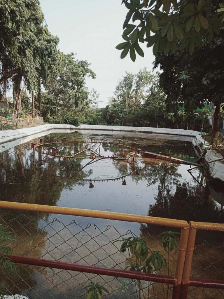 katni-park2 Park Fountain