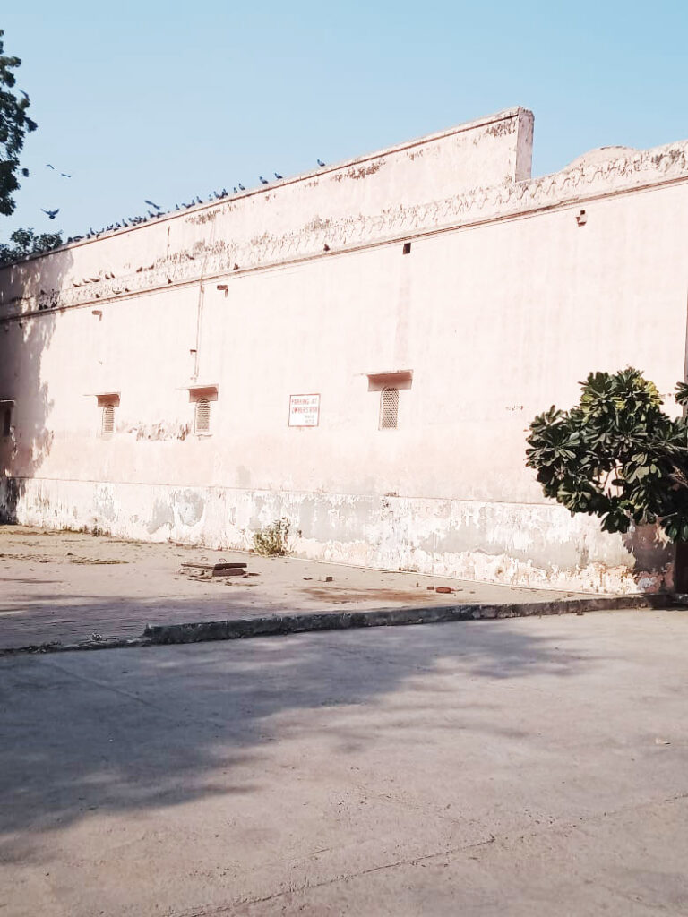raja-nahar-singh-palace-wall ballabhgarh mahal