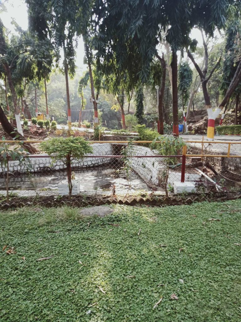 suramya-katni park greenary