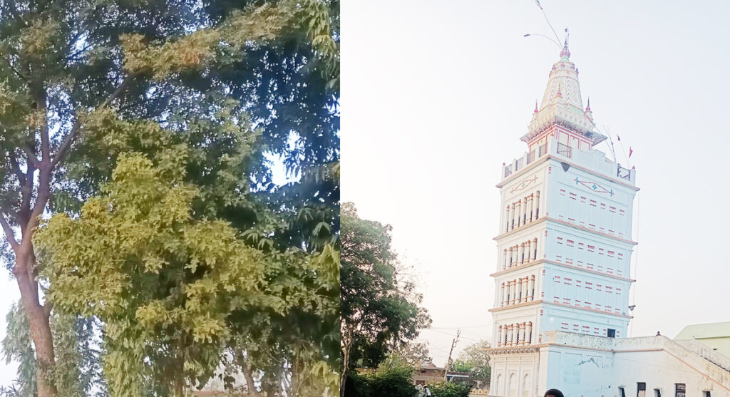 Chaturyug-dham-badera Badera Chaturyug Dham