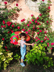 Flower in nishat garden