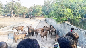 zoological park delhi