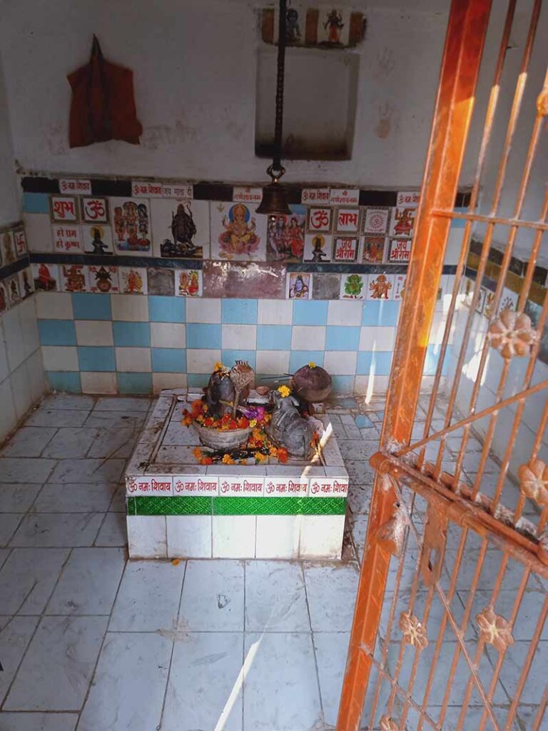 bandar-chuha-mandir-katni bandar chuha mandir katni