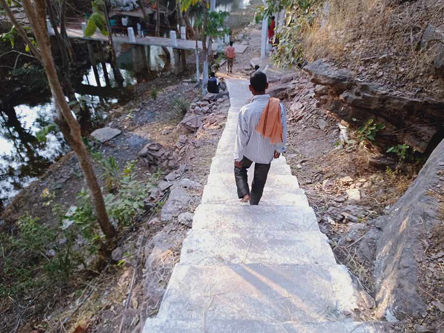 bandar chuha katni