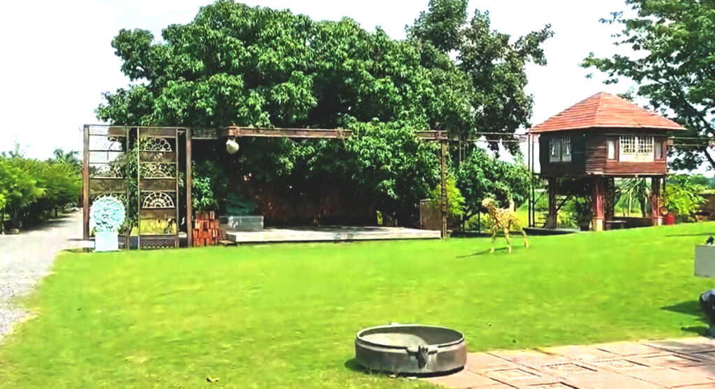 art-ichol-maihar