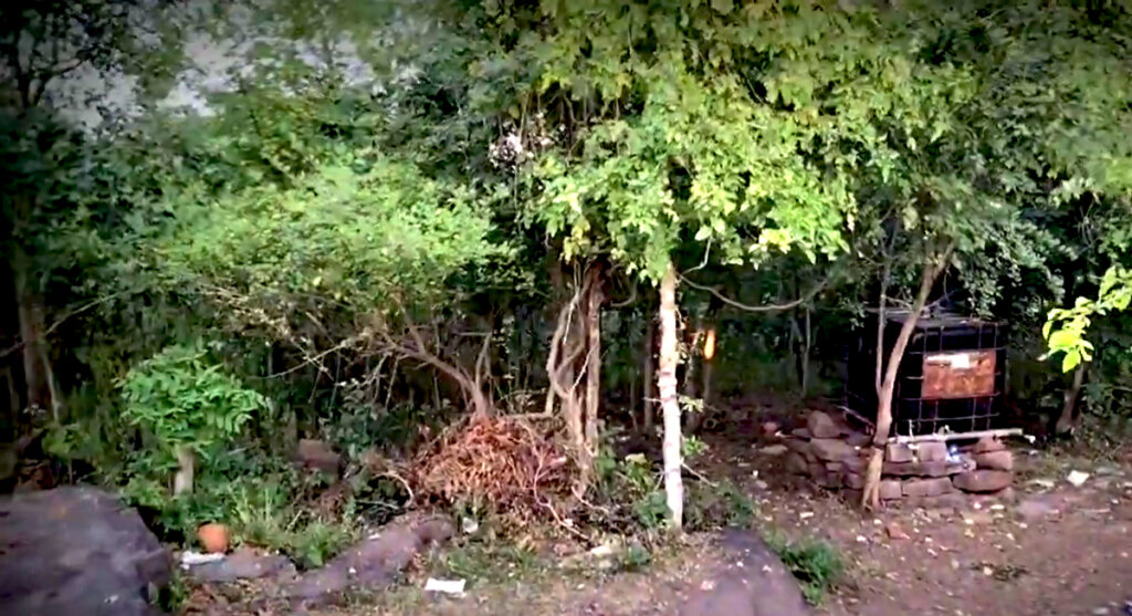 Sungarha village hills jangal