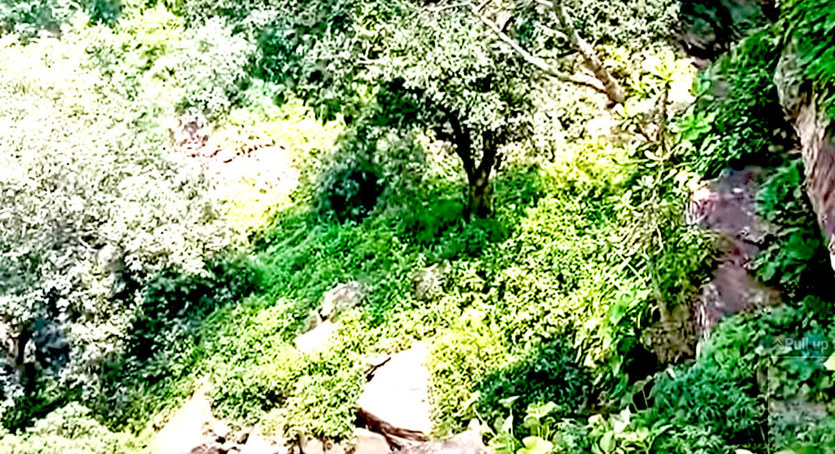 Vasudha Waterfall Katni