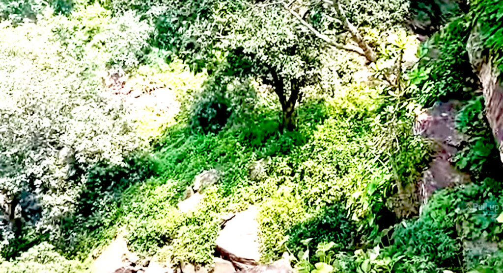 beautiful village katni 