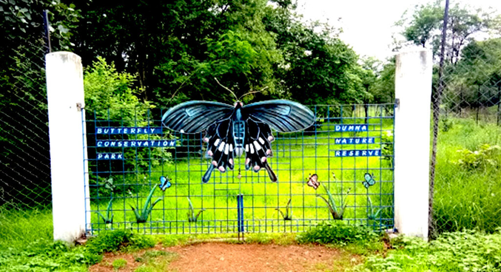 Dumna nature reserve park Jabalpur