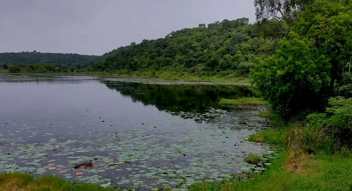 sangram sagar lake view