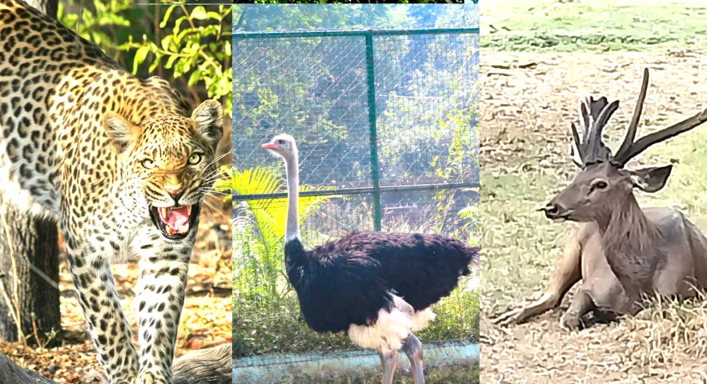 mukundpur-zoo mukundpur zoo