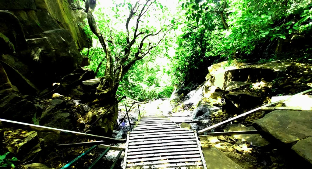tons waterfall sirmaur rewa