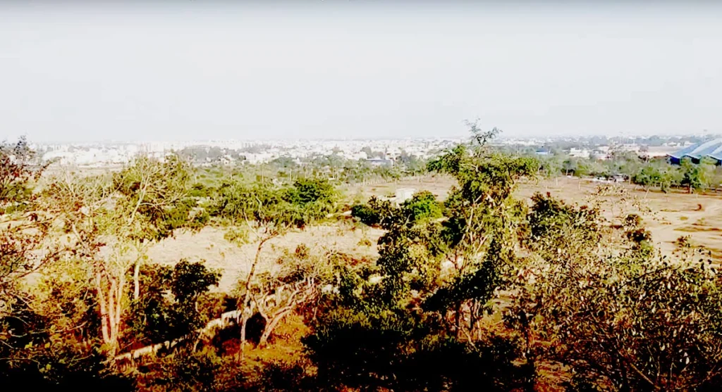 bijasan-tekri jangal in bijasan mandir