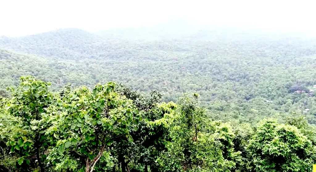 indore-janapav-hills janapav hills indore
