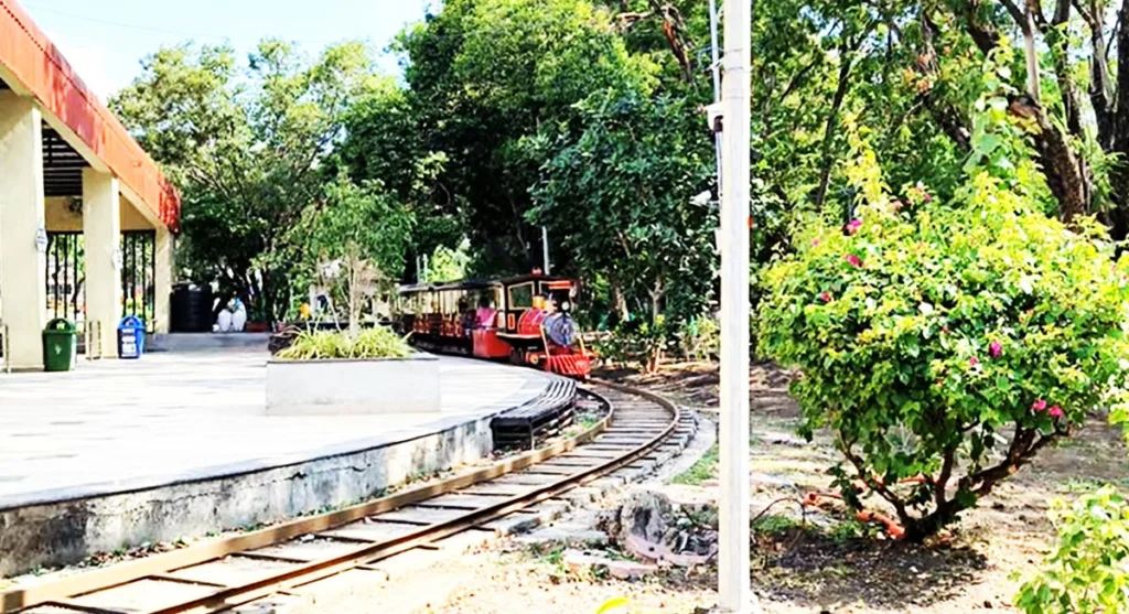 indore-ka-nehru-park Indore ka nehru park
