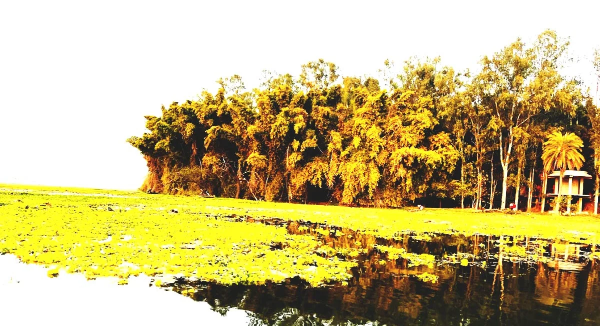 lotus valley indore