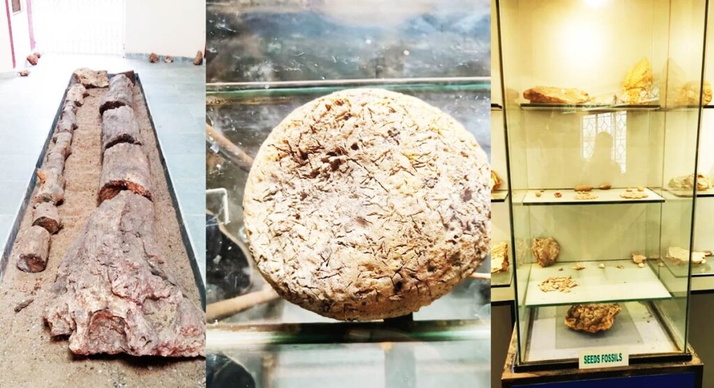 national fossil park ghughwa