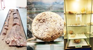 national fossil park ghughwa