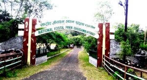 Ghughwa Fossil National Park – A Journey into Prehistoric India