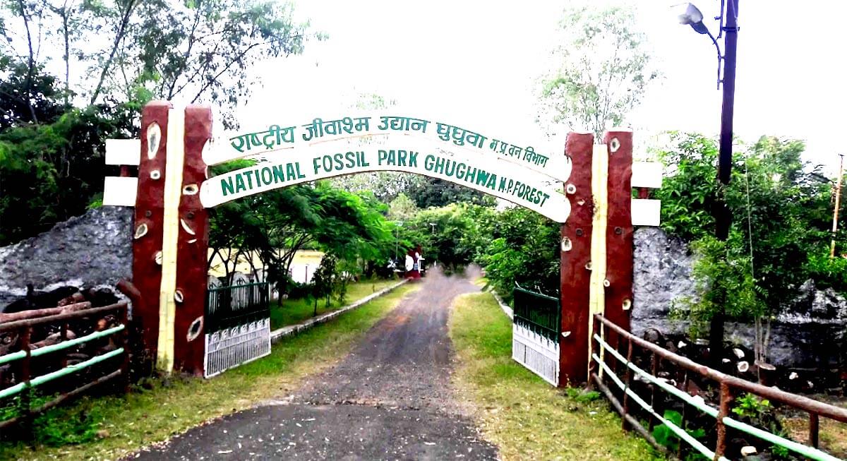 ghughwa fossil national park