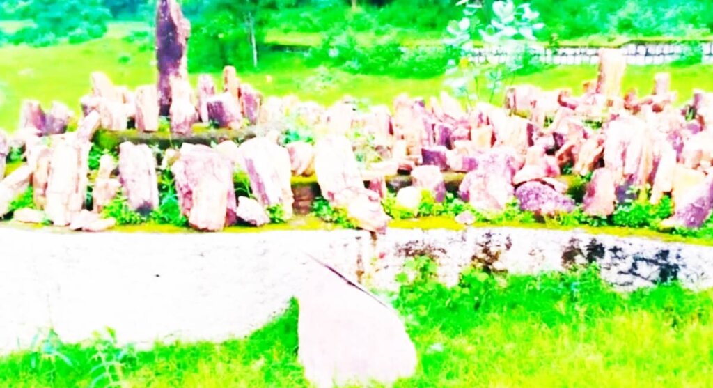 ghughwa-park-madhyapradesh fossil national park ghughwa mp