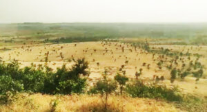 susner panchdehariya mandir