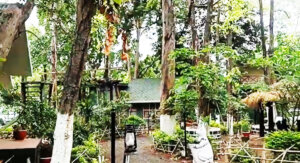 निर्मल छाया नेचर रिज़ॉर्ट — बिरूहली (Nirmal Chhaya Nature Resort — Biruhali)