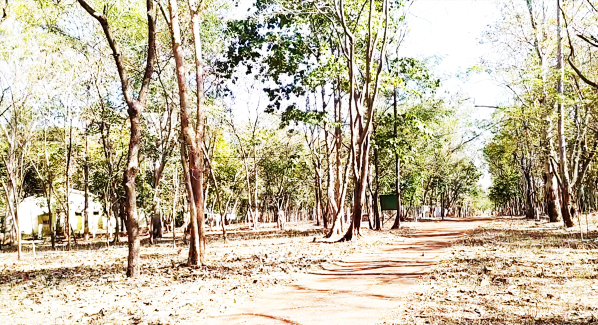 ekant van eco tourism katni