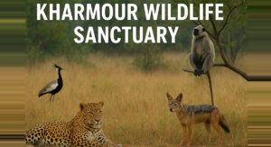 खरमौर वन्यजीव अभ्यारण्य, सैलाना (Kharmour Wildlife Sanctuary, Sailana)