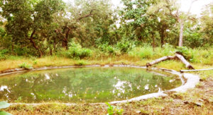 kheoni wildlife sanctuary