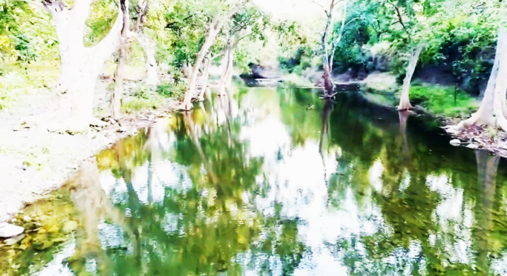 kheoni-wildlife-dewas kheoni wildlife dewas