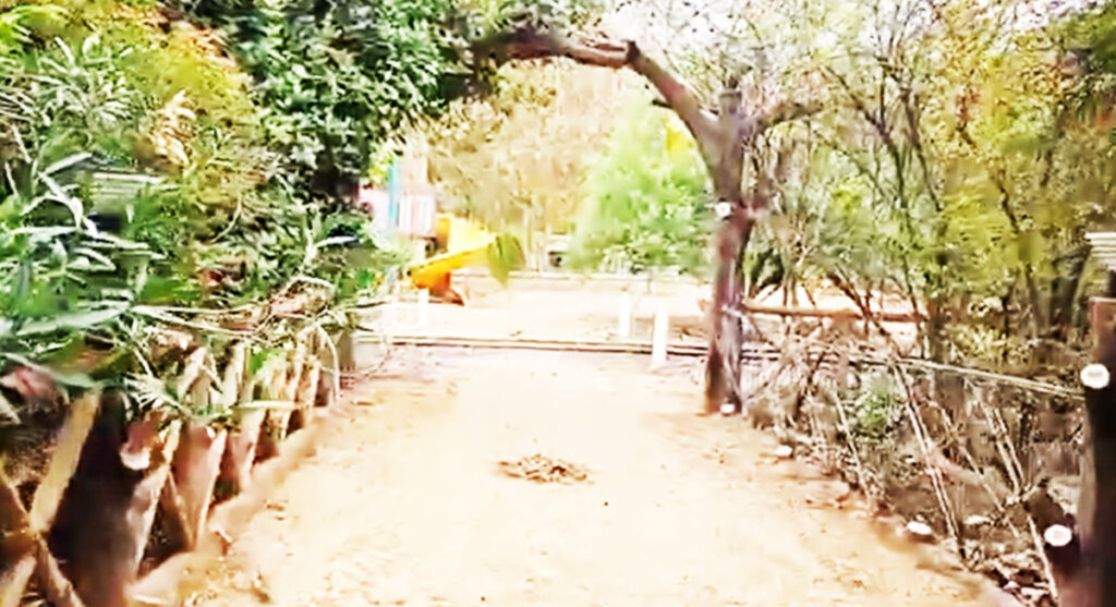 nirmal-chaya-nature-resort-katni
