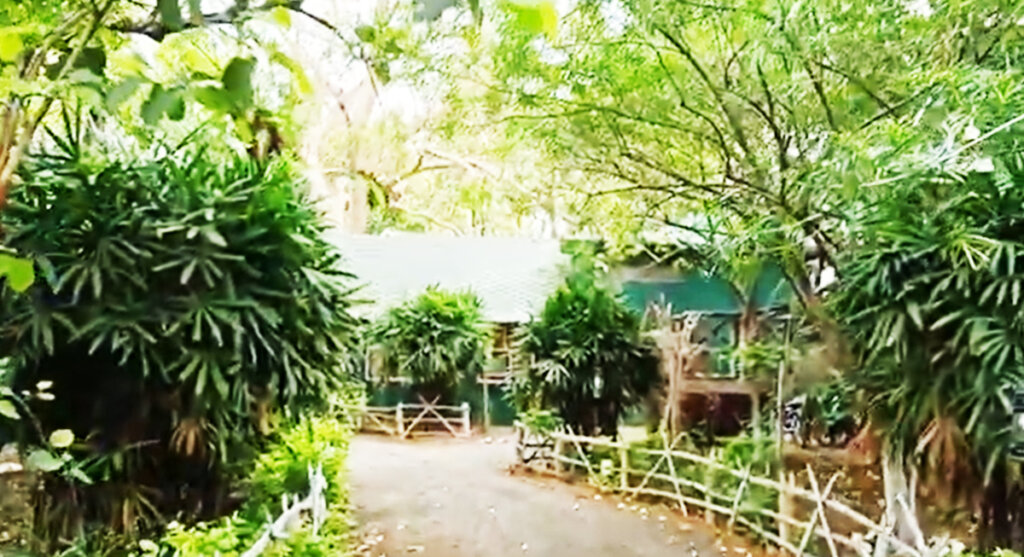 nirmal-chhaya-nature-resort-biruhali-katni