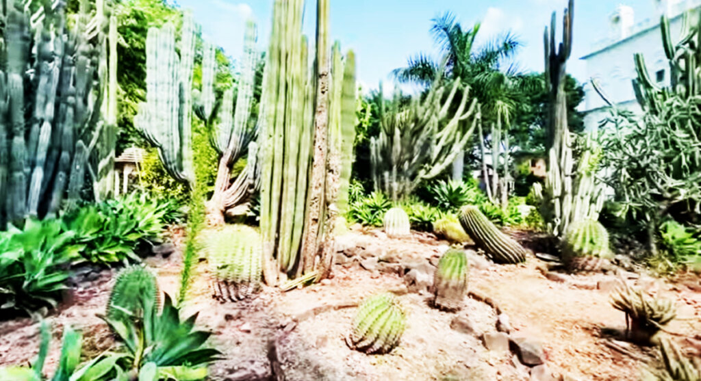 ratlam ka cactus garden