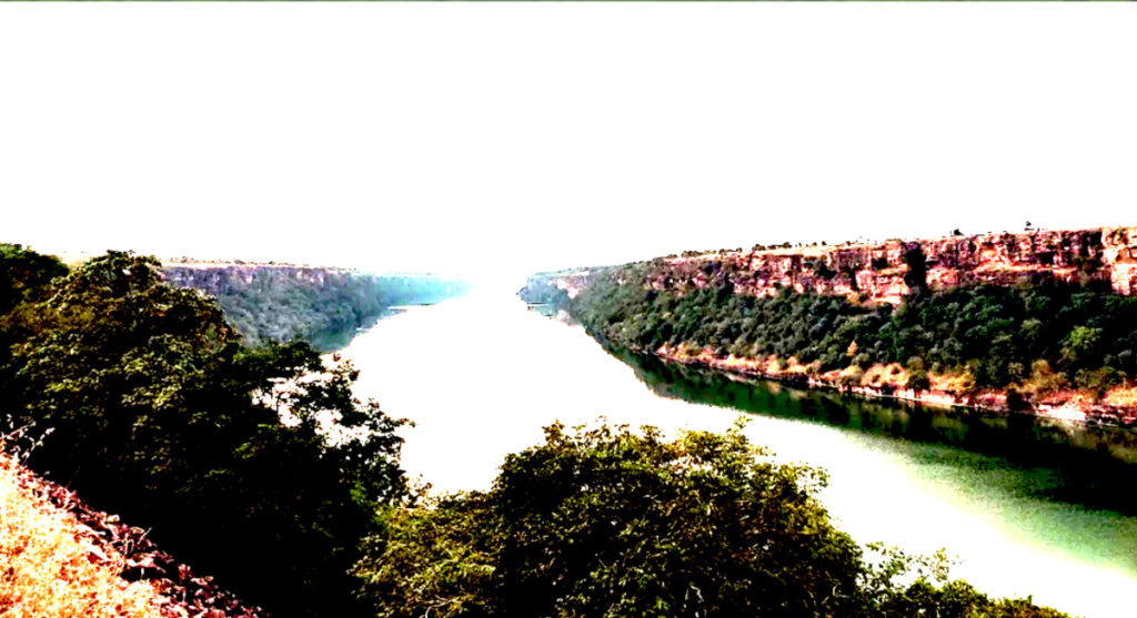 gandhi sagar vanya jeev abhyaranya