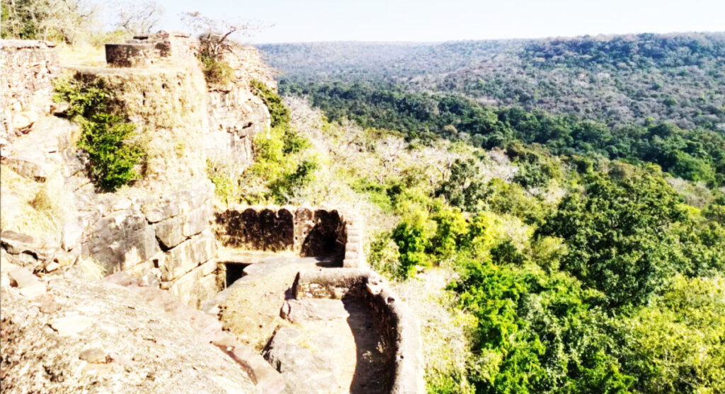 gandhi sagar wildlife sanctuary chenpuriya