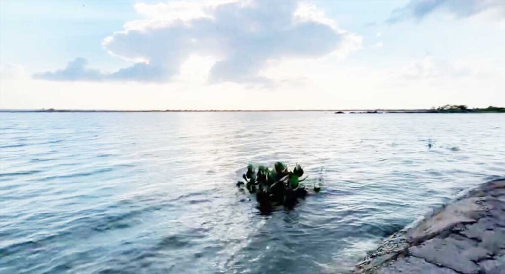sitaram-jaju-ram-sagar-dam