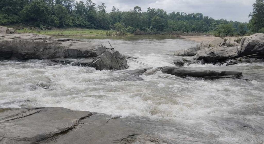 dindori haldi kareli