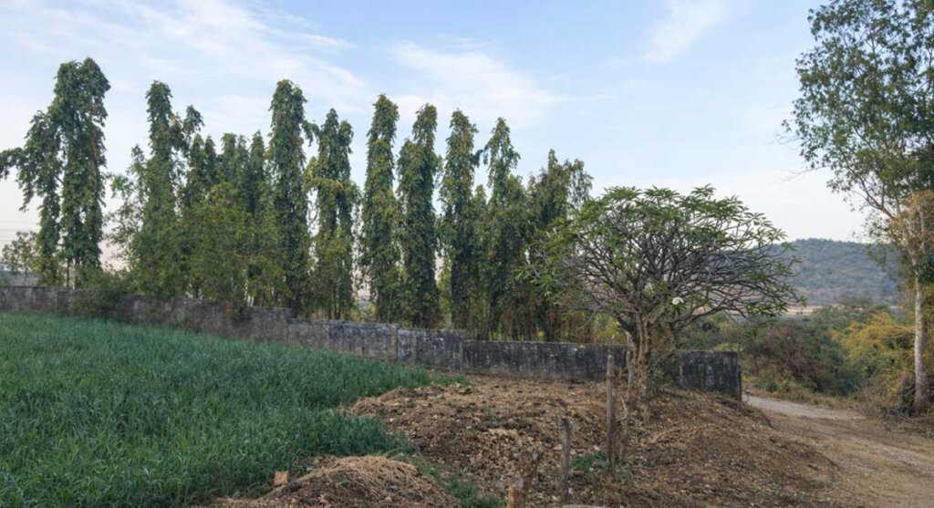 dindori-mountain-beauti