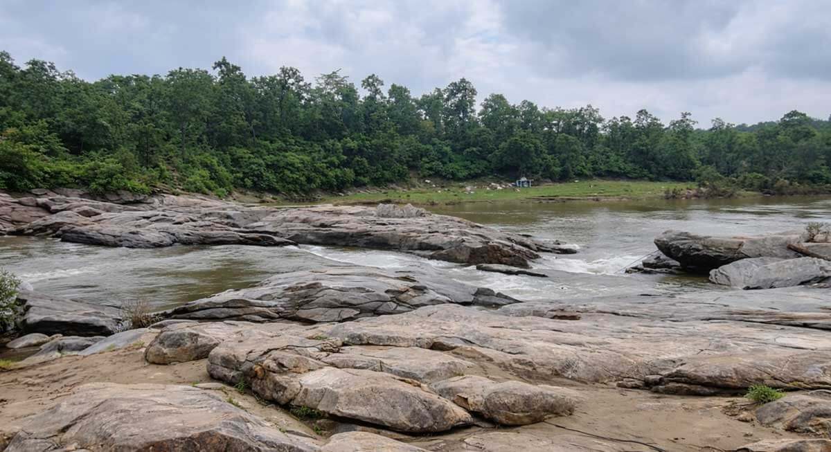 haldi kareli dindori india