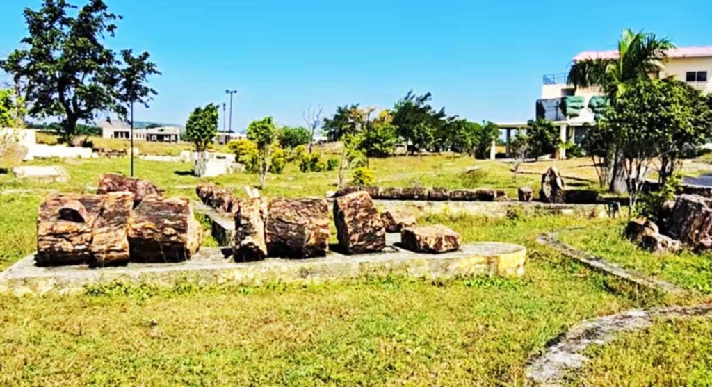 ashmadha fossil museum dhar madhya pradesh