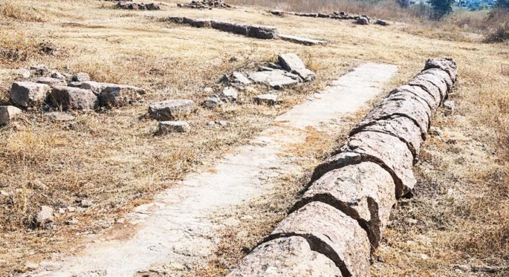 dinosaur-fossil-national-park-bagh-dhar
