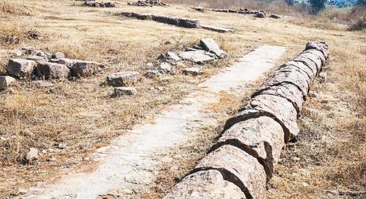 dinosaur-fossil-national-park-bagh-dhar