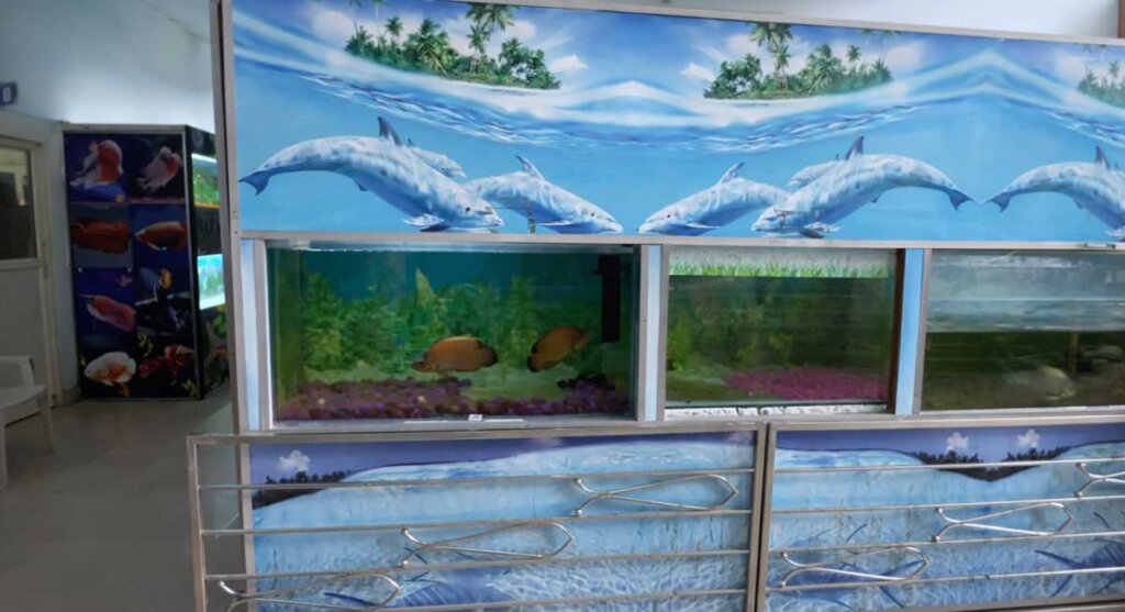 fish aquarium bhopal india