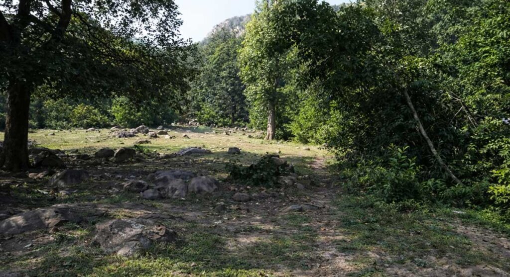 katthiwada forest alirajpur mp
