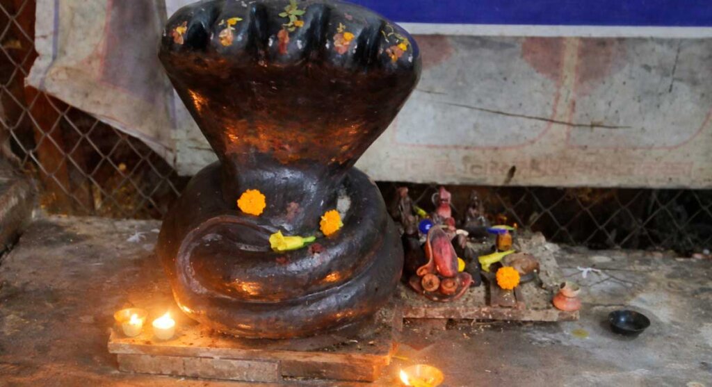 nag mandir bhopal madhya pradesh