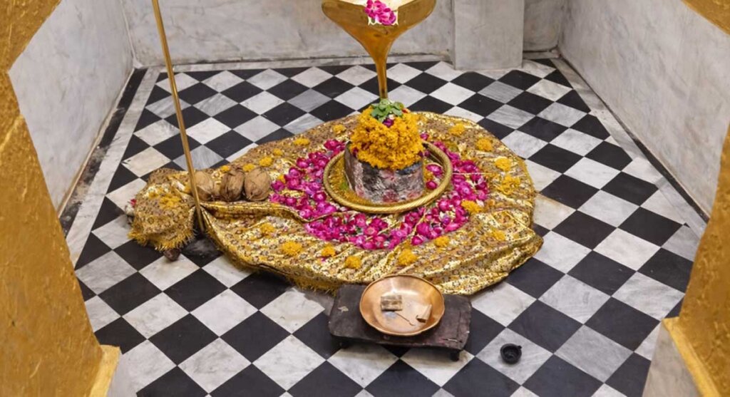 nageshwar temple barwaha mp