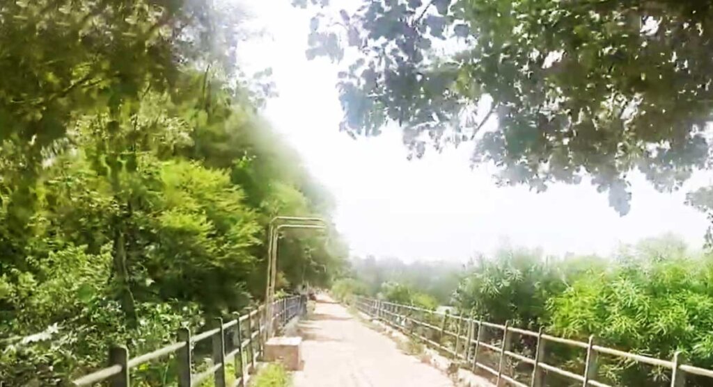 shahpura lake bhopal india