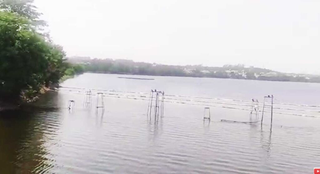 shahpura lake bhopal madhya pradesh